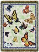 Bugs, Butterfles & Insects