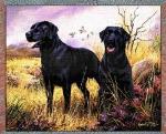 Pedigree Dogs Tapestry Throws by © Robert May