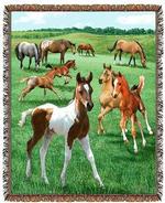Horses