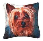 NEW Paws CLIMAWEAVE Pillows