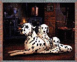 Dalmation Tapestry Throw