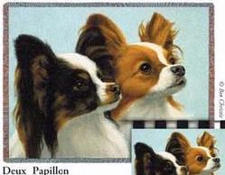 Deux Papillon Tapestry Throw