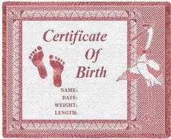Birth Certificate Baby Girl Throw Blanket - Pink