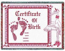 Birth Certificate Baby Throw Blanket - Pink