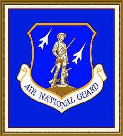 United States Air National Guard Tapestry Throw