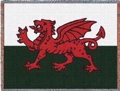 Welsh Dragon Flag Throw Blanket