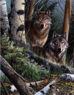 NEW Watchful Eyes Tapestry Throw