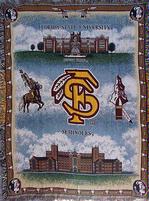  SALE Florida State University Tapestry Throw