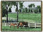 Kentucky Dreamin Tapestry Throw