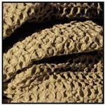 Heritage Collection - Tawny Throw Blanket