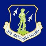 United States Military Air National Guard Emblem Tote Bags