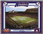 Collegiate Auburn SEC Champions University Collage Tapestry Throw