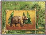 Brown Bear Tapestry Throw
