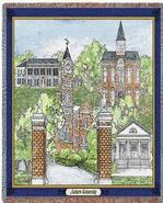 Collegiate Auburn University Collage Tapestry Throw
