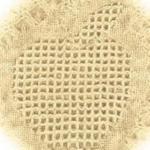 Natural Apples Woven Throw Blanket