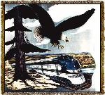 Missouri River Eagle Train Tapestry Throw