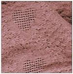  Honeycomb Hearts Rose Throw Blanket