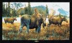Northern Monarch Moose Wall Art Tapestry