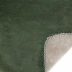 Denali Solid Sage Microplush ® Blanket