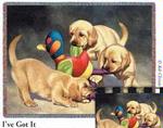 I've Got It Tapestry Throw