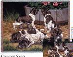 Common Scents Tapestry Throw