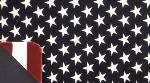 Denali Stars and Stripes Microplush ® Blanket
