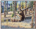 NEW Morning View Tapestry Throw