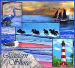 Eastern Shore Maryland Tapestry Throw