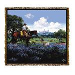 The Texans Tapestry Throw