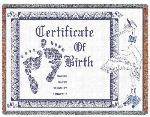 Birth Certificate Baby Throw Blanket - Blue
