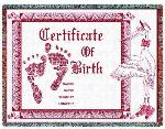 Birth Certificate Baby Throw Blanket - Pink