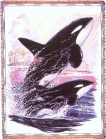 Two Killer Whales Tapestry Throw