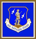 United States Air National Guard Tapestry Throw