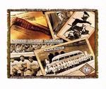 NLBM Negro League Baseball History Tapestry Throw