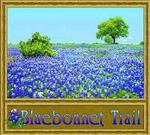 Bluebonnet Trail Tapestry Throw