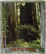Redwoods Tapestry Throw