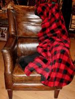  NEW Denali Large Bunk House Plaid - Black Tapestry Microplush ® Blanket