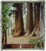 Giant Sequoias Tapestry Throw