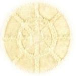 Natural Nautical Woven Throw Blanket