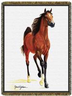 Bay Stallion Tapestry Throw