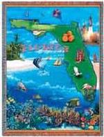 Florida State Tapestry Throw
