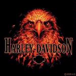 Harley Davidson ® Hot Head Eagle Tote Bags