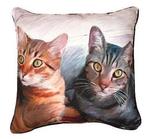  Whiskers Sweepo & Tony Cats, CLIMAWEAVE Pillows