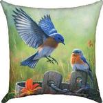 Wash Bucket Blues CLIMAWEAVE Pillows