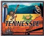 Tennessee State Tapestry Throw