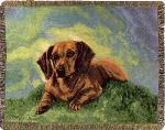 Pedigree Dachshund Tapestry Throw