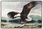 Majesty Tapestry Throw