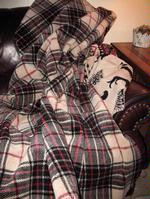 Denali Cashew Plaid Microplush ® Blanket