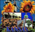 State of Kansas Tapestry Throw