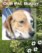 Dog Personalized Photo Weave Tapestry Throw